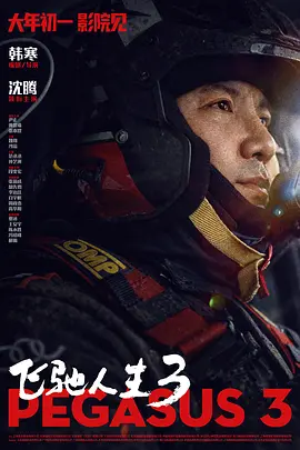白夜追凶电视剧免费观看全集高清