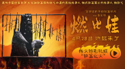 成人欧美xemh视频